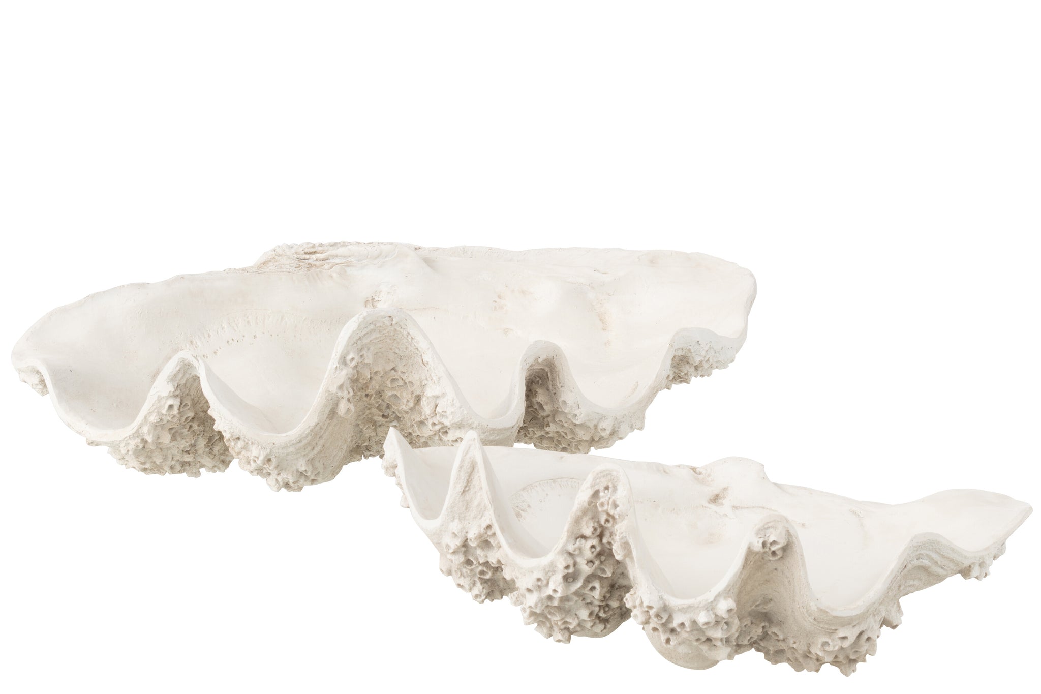 Coupelle “Samudra” – Coupe décorative design, Coquillage en Résine | J-Line