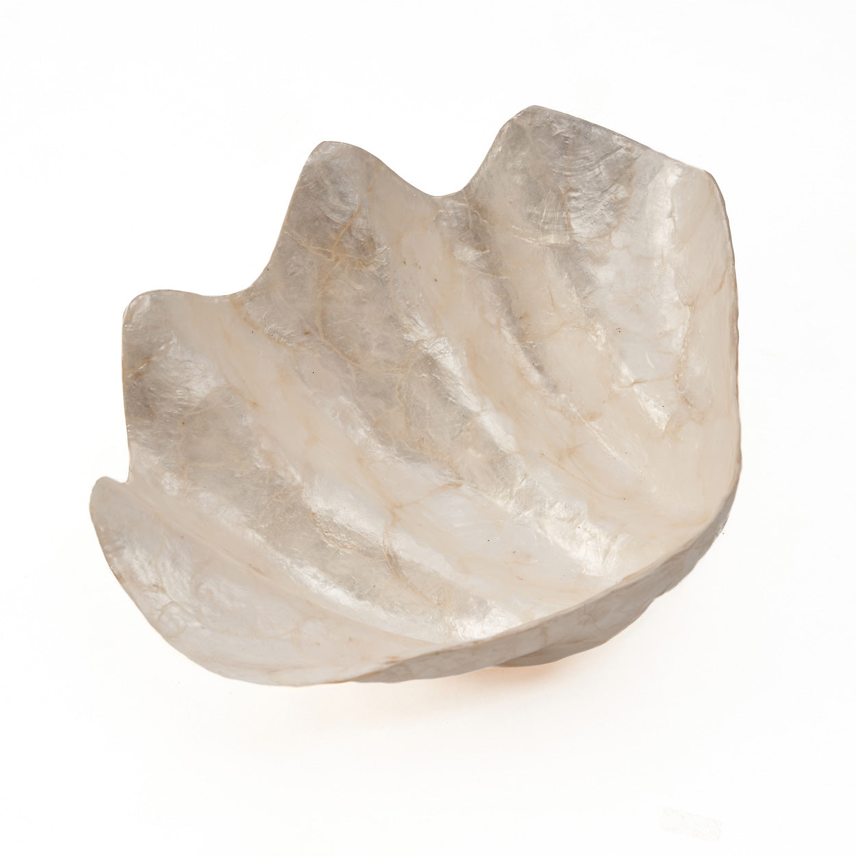 Coupelle “Pantai” en forme de coquillage grande taille – Nacre naturelle, Design organique | Bazar Bizar