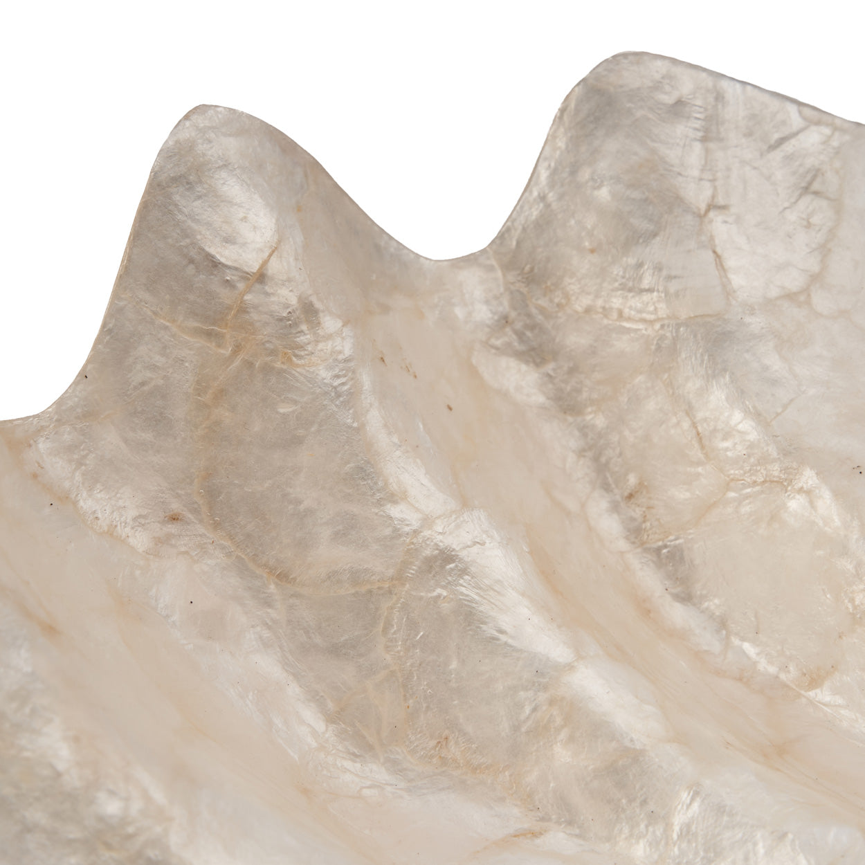 Coupelle “Pantai” en forme de coquillage grande taille – Nacre naturelle, Design organique | Bazar Bizar