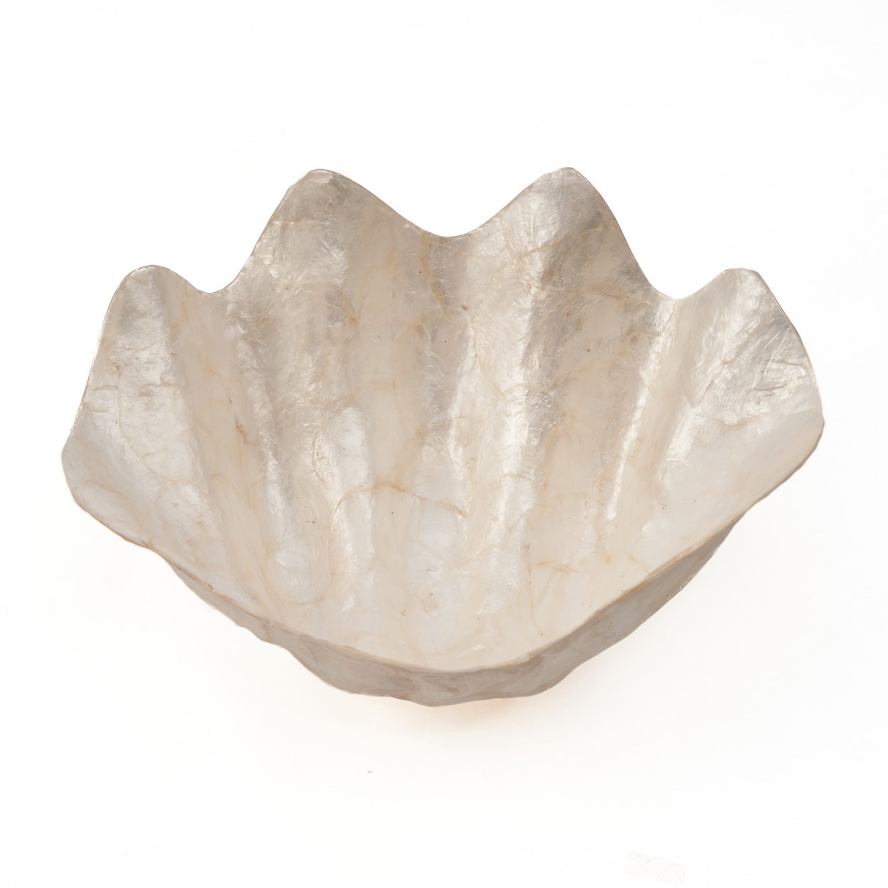 Coupelle “Pantai” en forme de coquillage grande taille – Nacre naturelle, Design organique | Bazar Bizar
