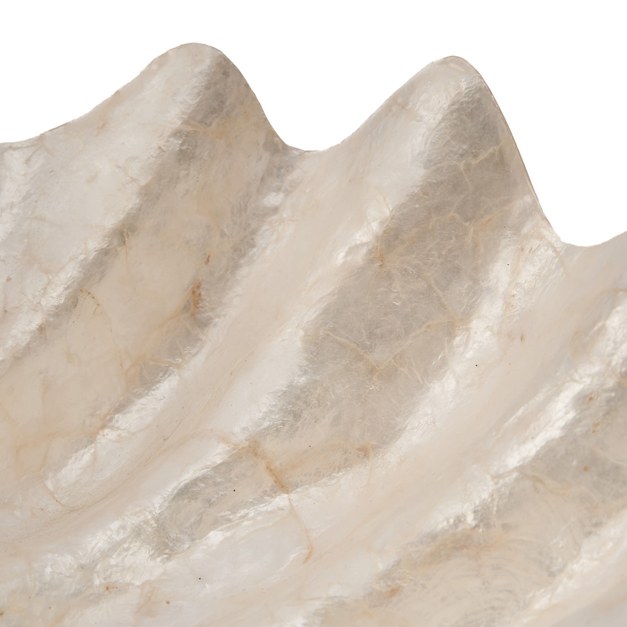 Coupelle “Pantai” en forme de coquillage grande taille – Nacre naturelle, Design organique | Bazar Bizar