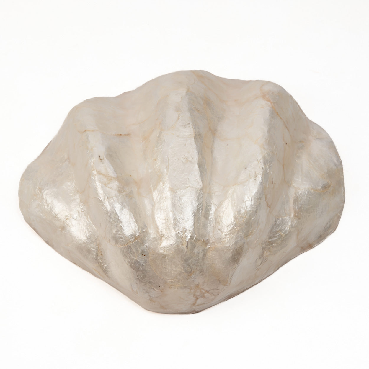 Coupelle “Pantai” en forme de coquillage grande taille – Nacre naturelle, Design organique | Bazar Bizar