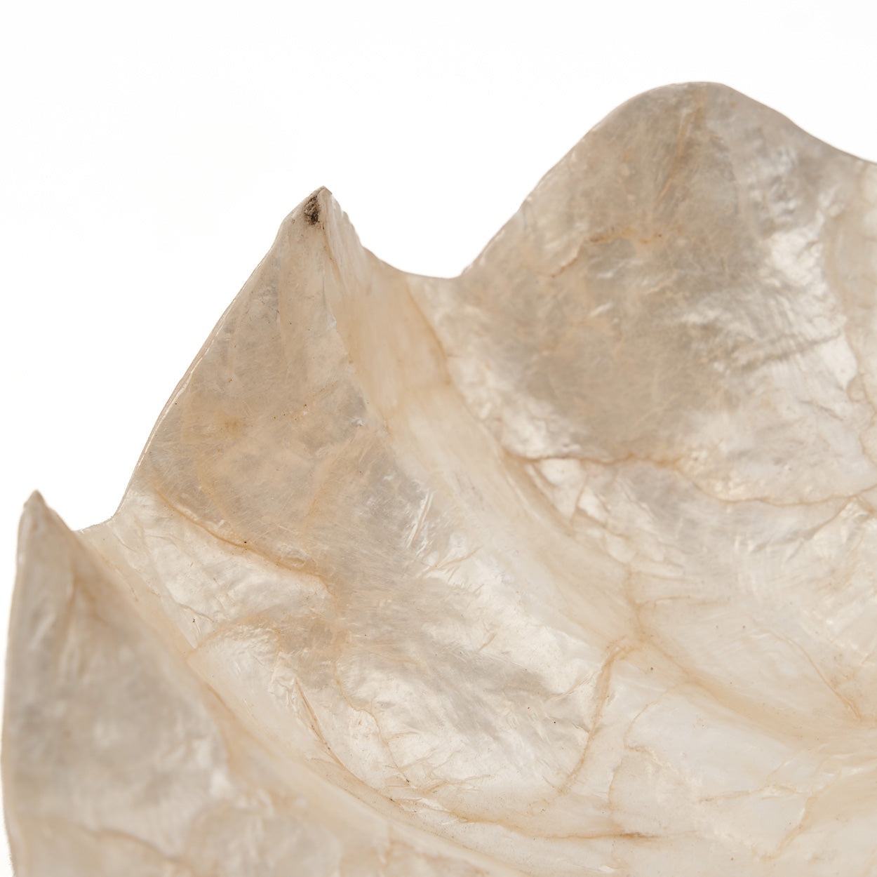 Coupelle “Pantai” en forme de coquillage – Nacre naturelle, Design organique | Bazar Bizar