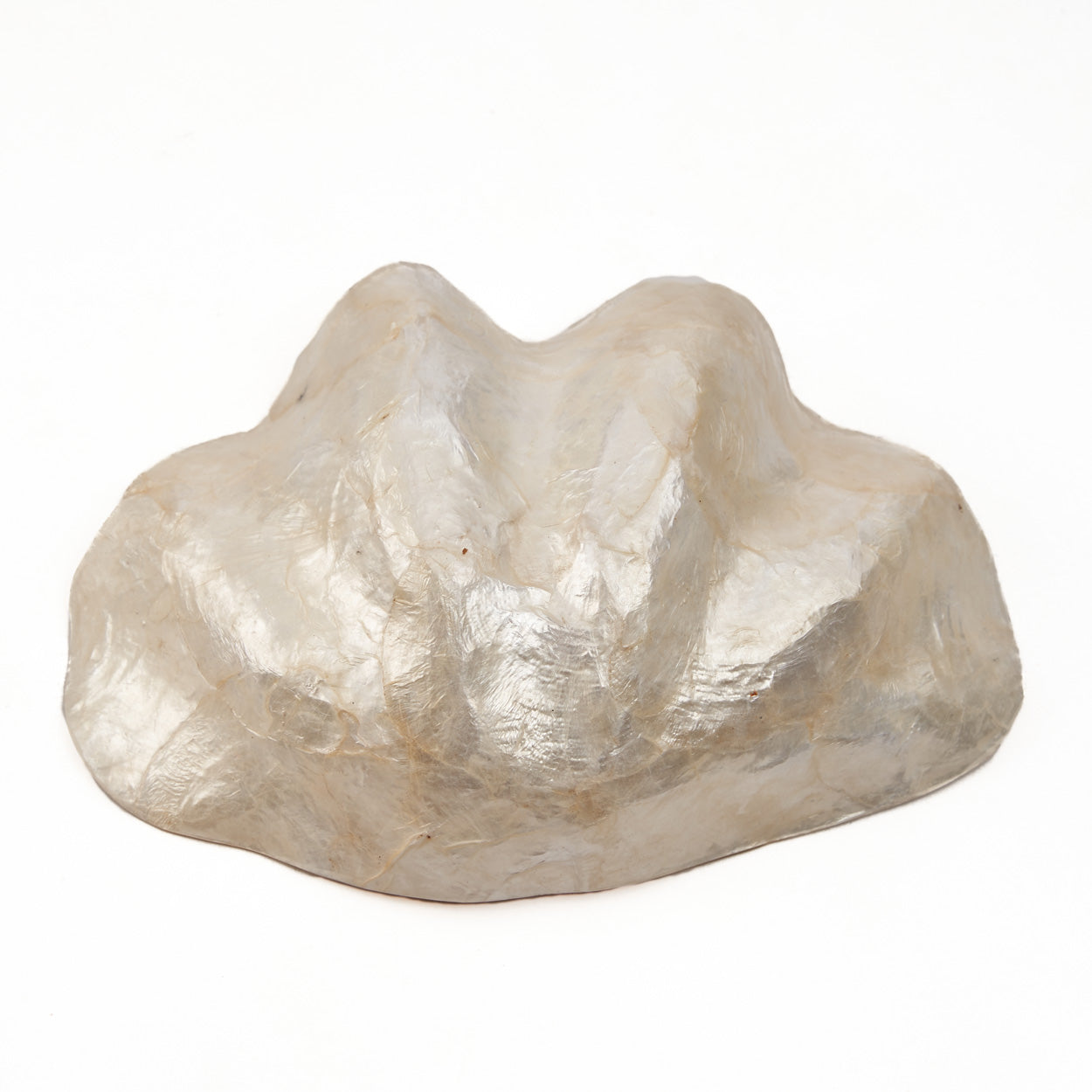 Coupelle “Pantai” en forme de coquillage – Nacre naturelle, Design organique | Bazar Bizar