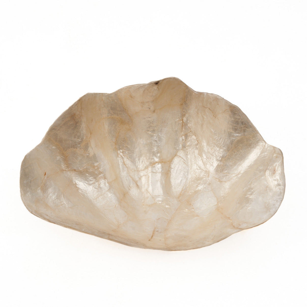 Coupelle “Pantai” en forme de coquillage – Nacre naturelle, Design organique | Bazar Bizar