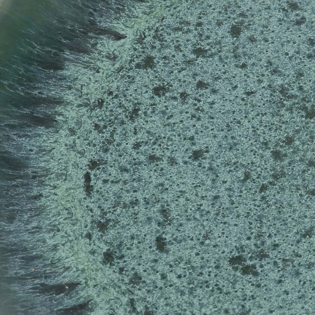 Assiette plate "Aqua" grande taille – Lot de 4,  Céramique Portugaise | Bazar Bizar